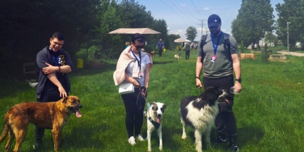 INENSIA Continues Its Heartwarming Tradition at the Rescue Dog Shelter