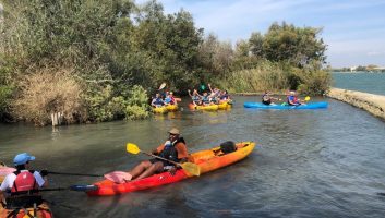 Inensia Team Enjoys Time in Camargue, France