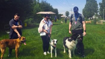 INENSIA Continues Its Heartwarming Tradition at the Rescue Dog Shelter
